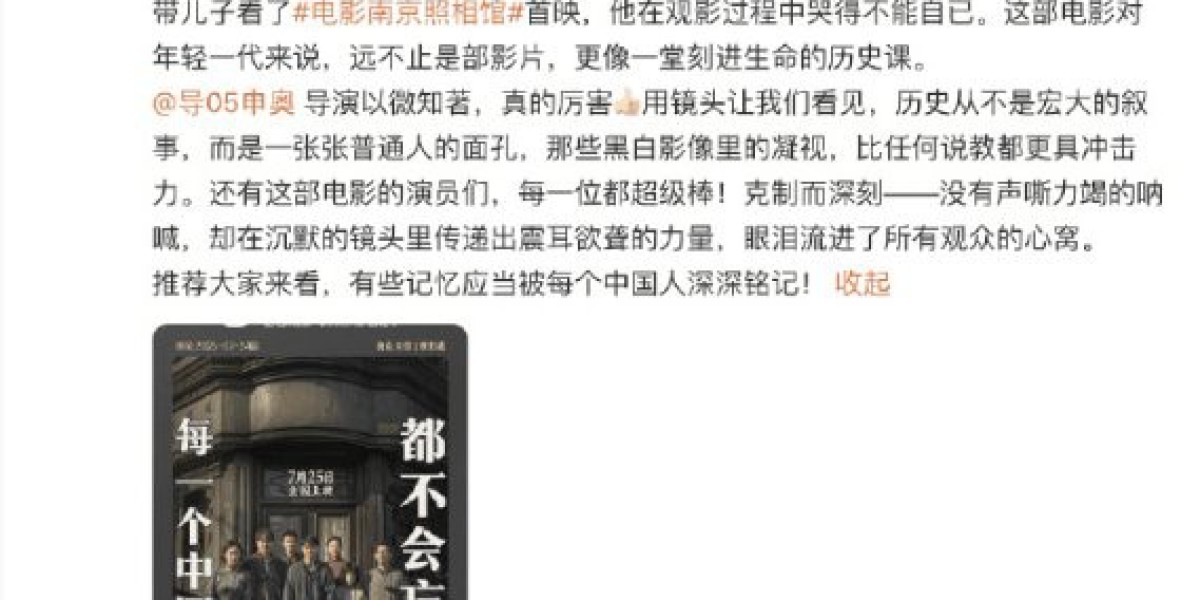 佟丽娅推荐大家看《南京照相馆》：儿子在观影过程中哭得不能自已