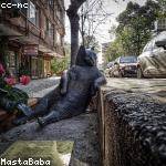 Abelardo Gulgowski Profile Picture