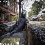 Abelardo Gulgowski Profile Picture