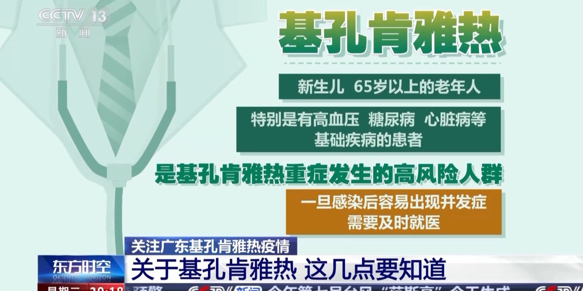 确诊已超3000例，关于基孔肯雅热这几点要知道