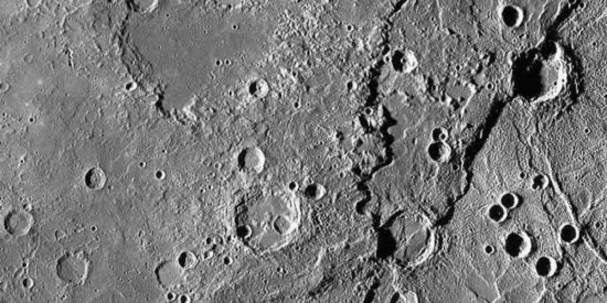 Article Picture