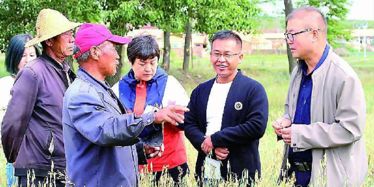 Article Picture