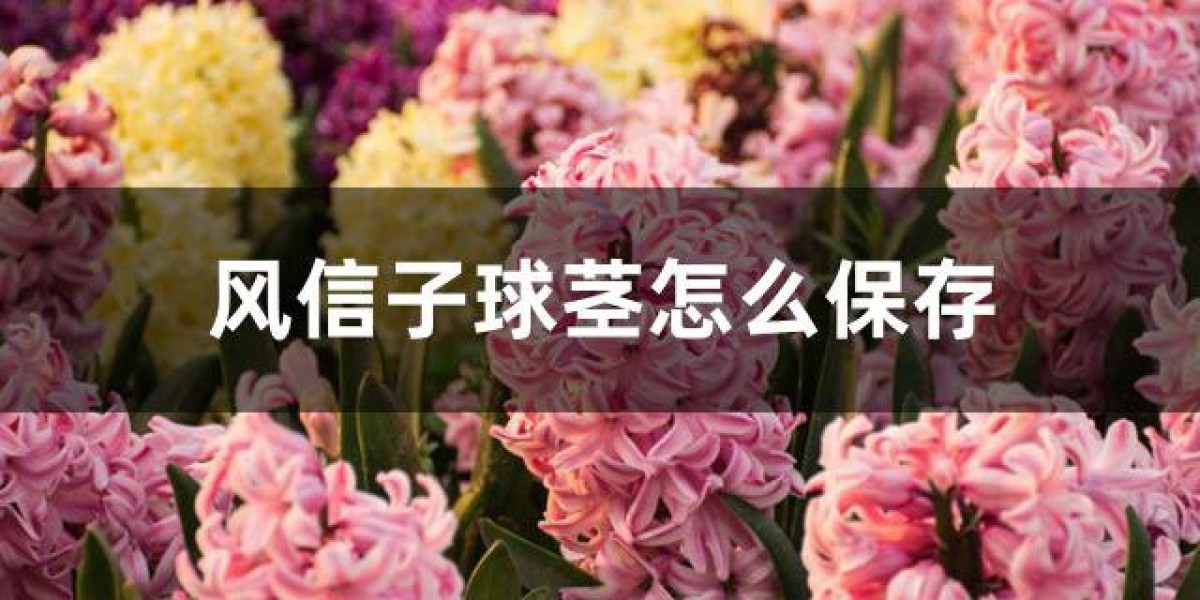 Article Picture