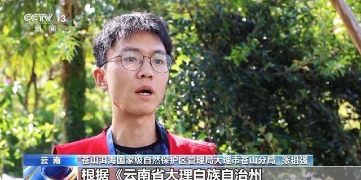 Article Picture