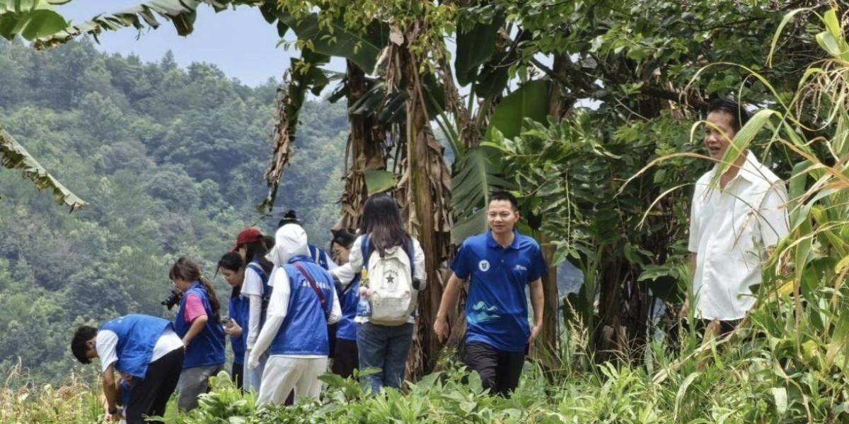 Article Picture