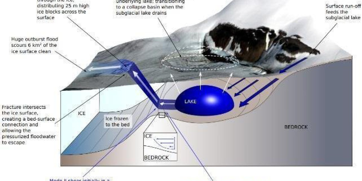 Article Picture