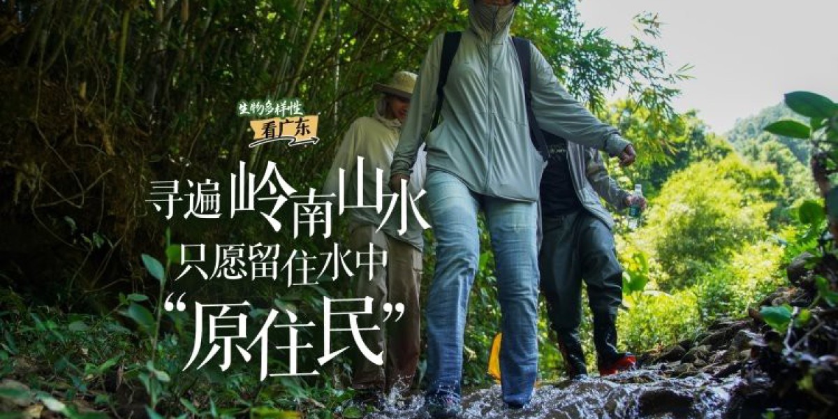 Article Picture