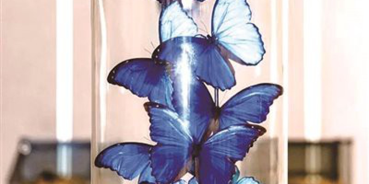 Article Picture