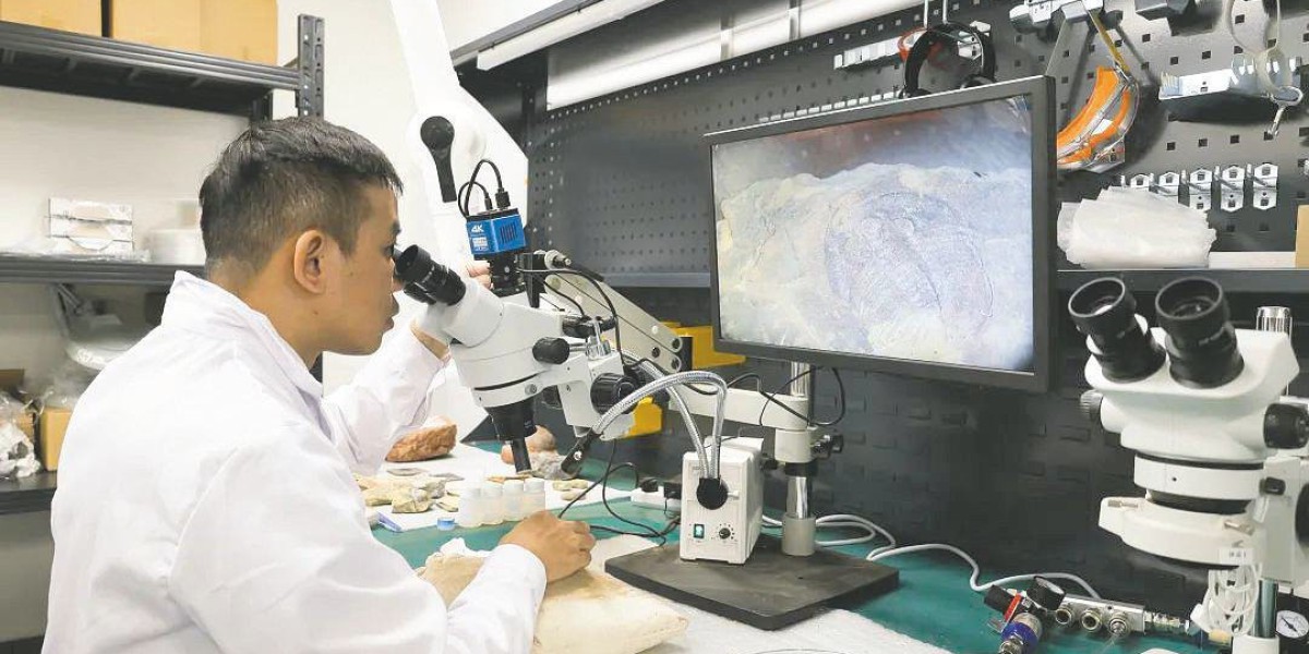 Article Picture