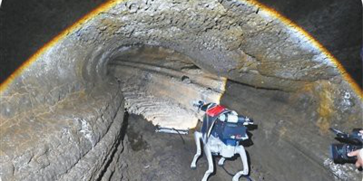 Article Picture