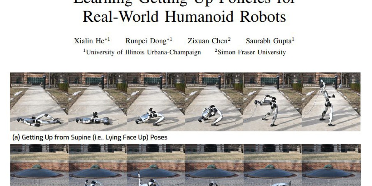 Article Picture