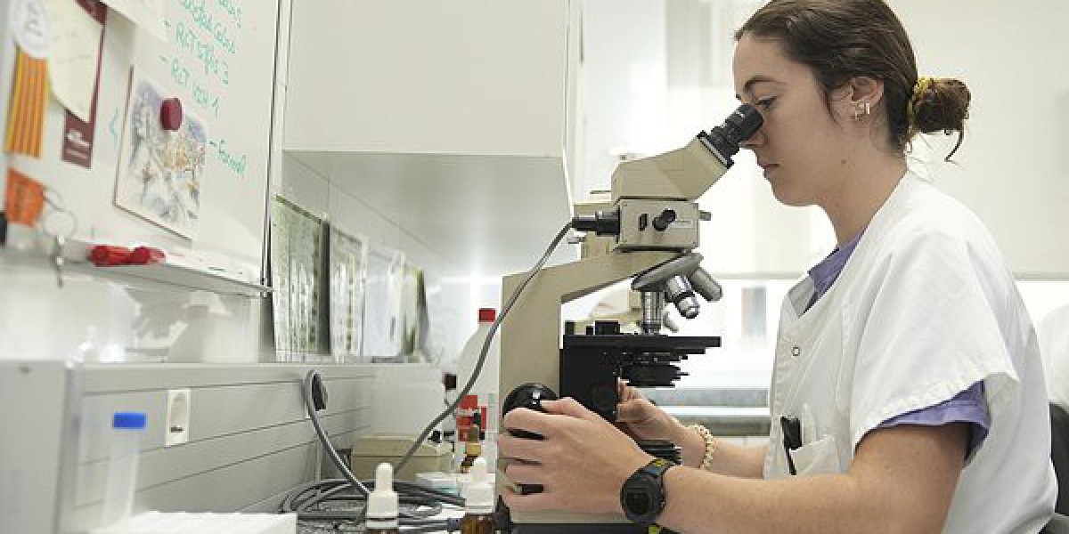 Article Picture