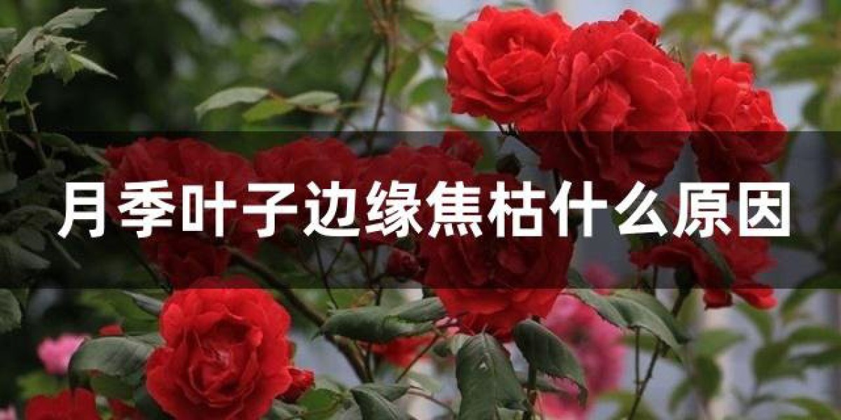 Article Picture