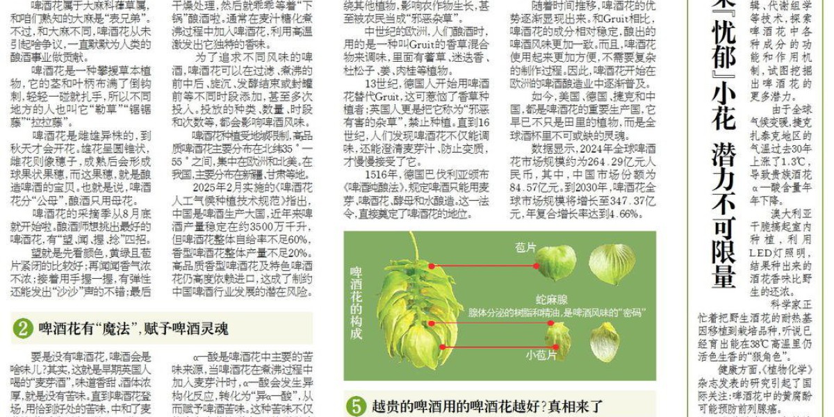 Article Picture