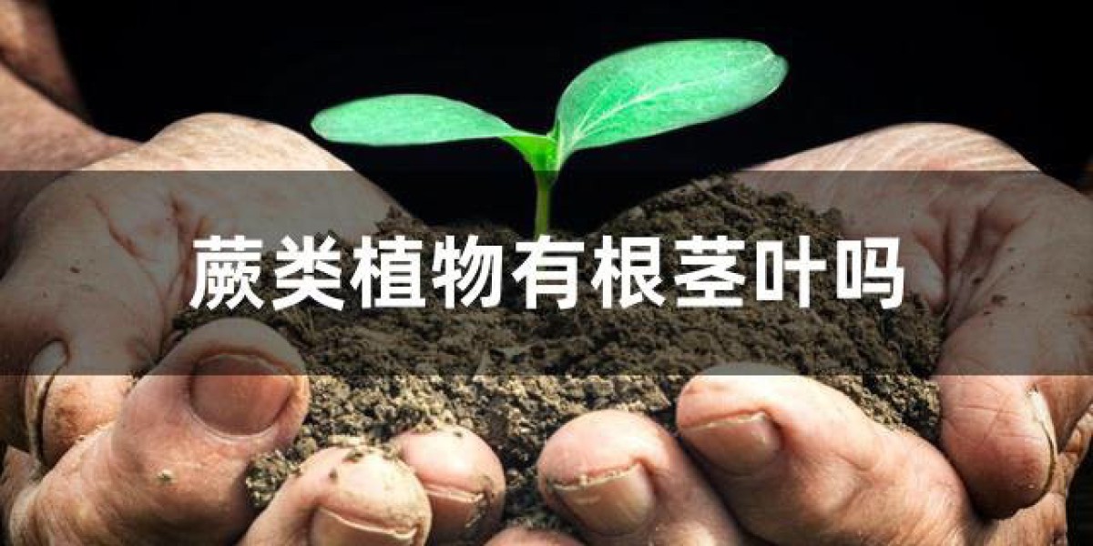 Article Picture