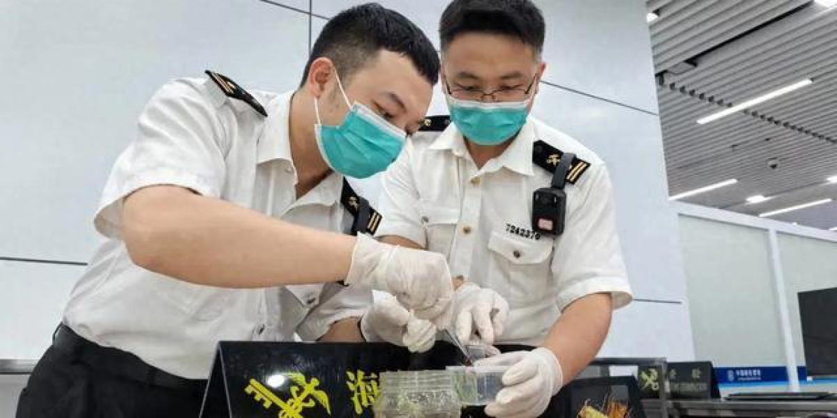 Article Picture