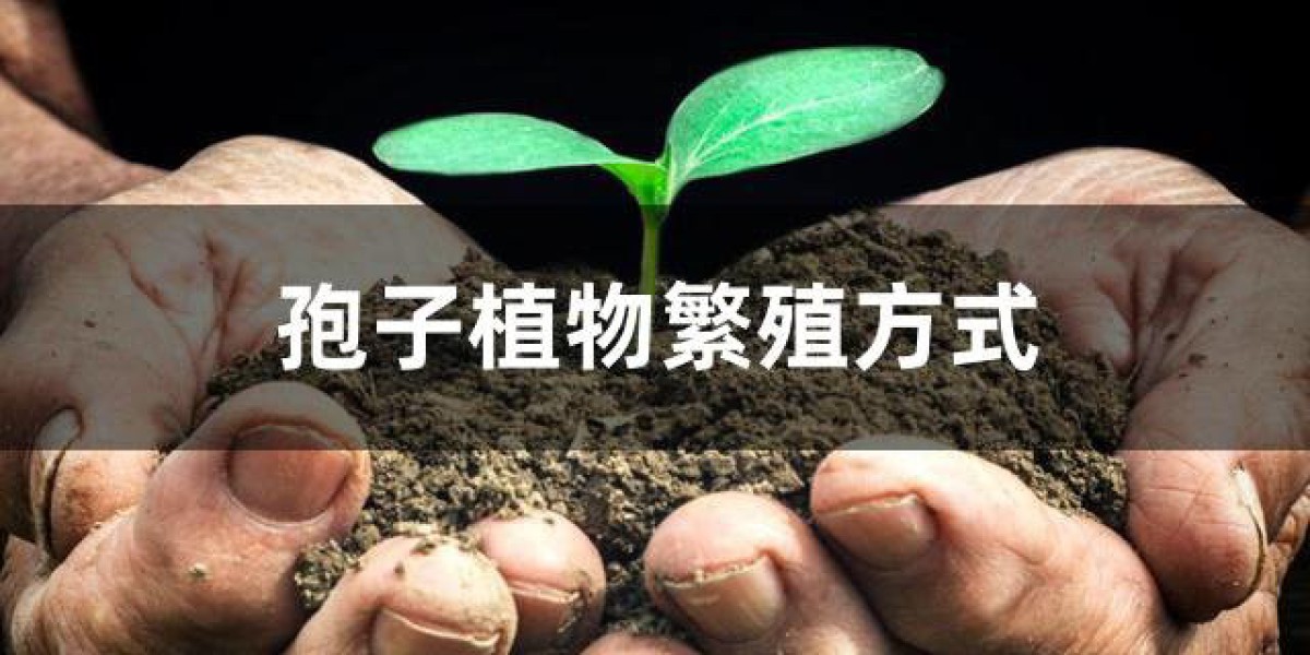 Article Picture