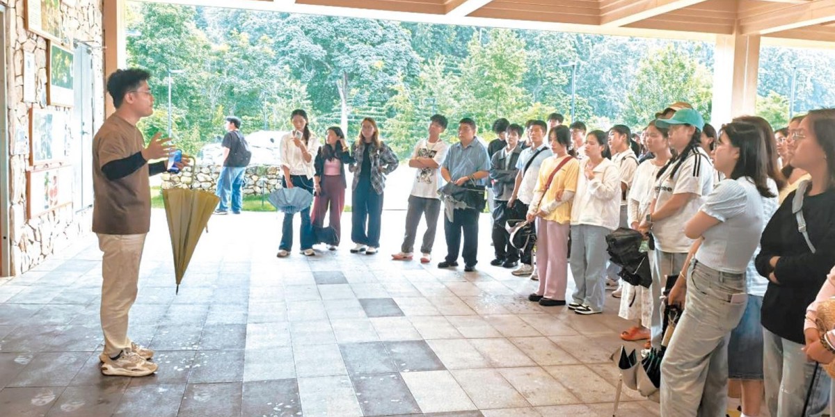 Article Picture