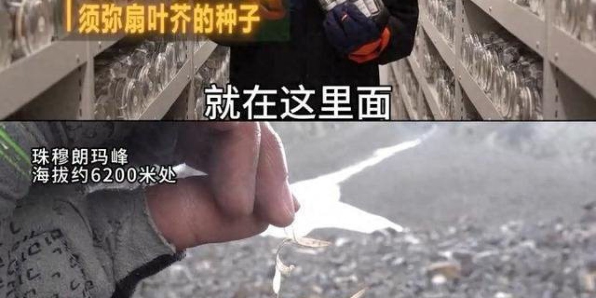 亚洲最大中国科学家打造现实版“诺亚方舟”