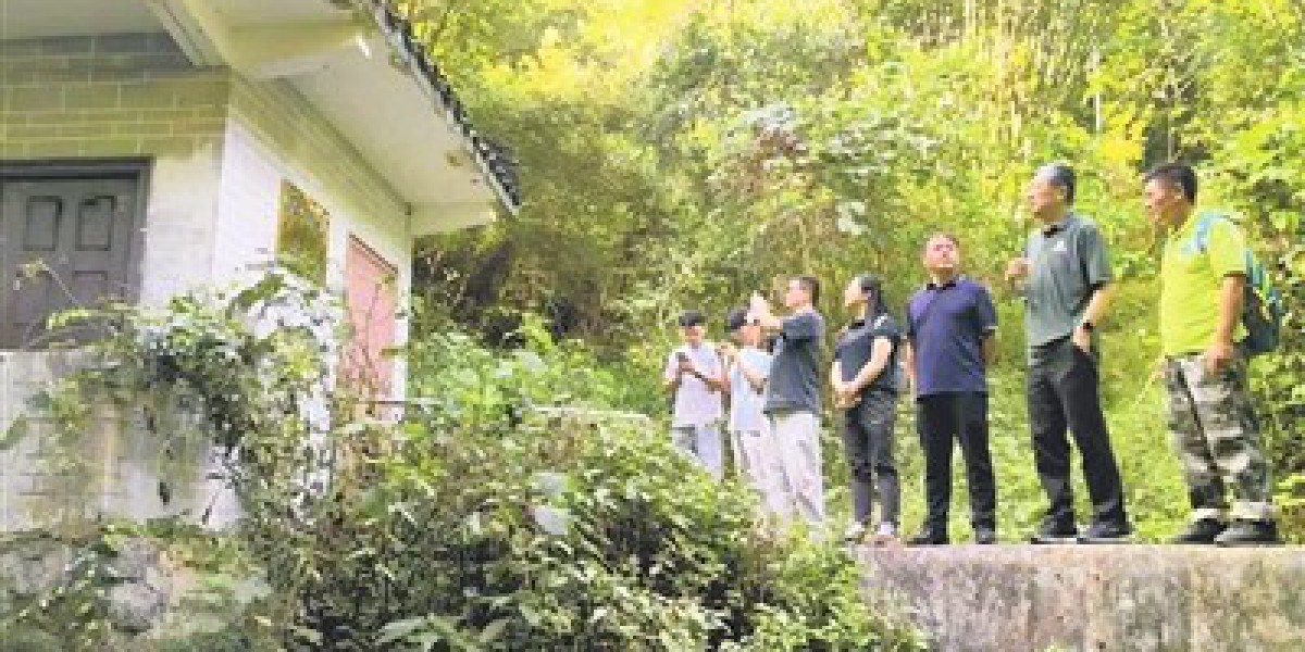 Article Picture