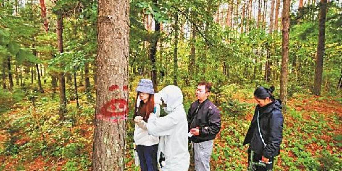 Article Picture