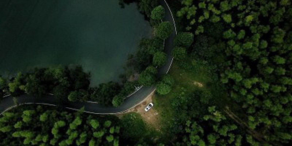 Article Picture