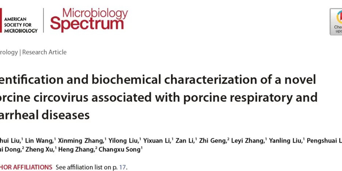 Article Picture