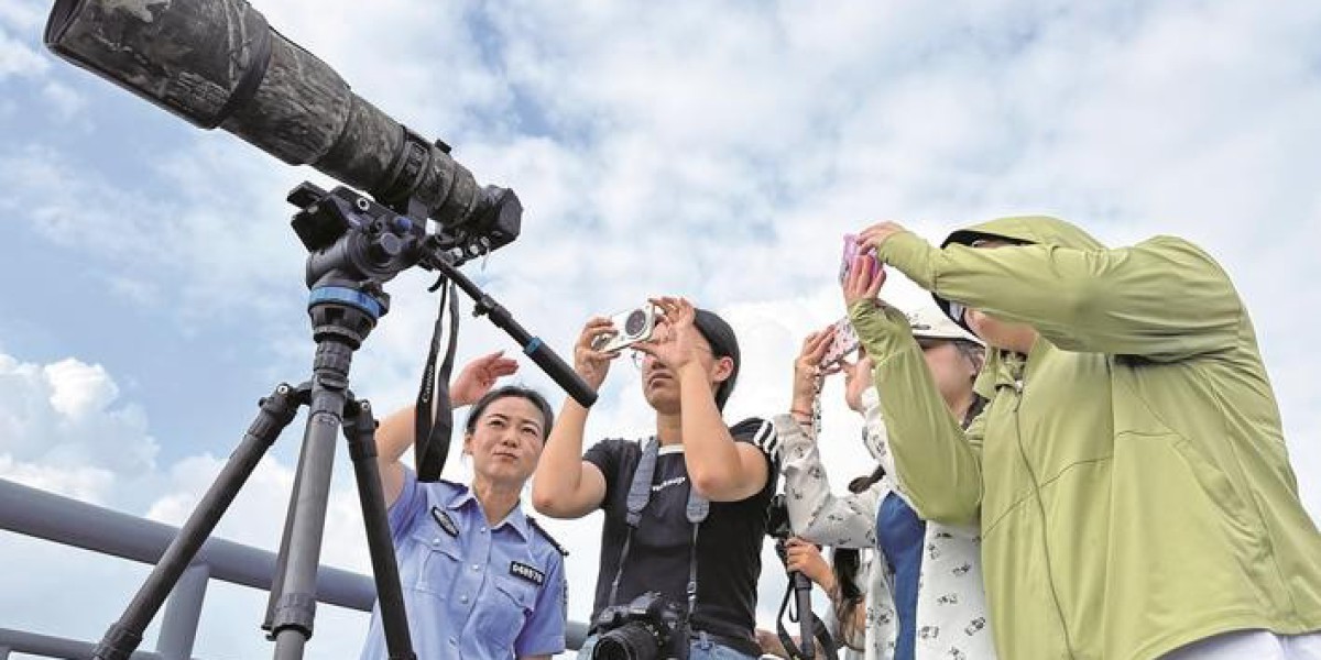Article Picture