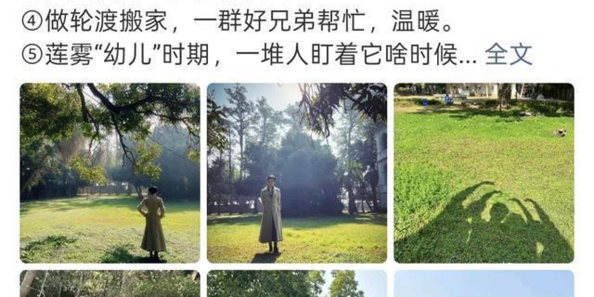 Article Picture