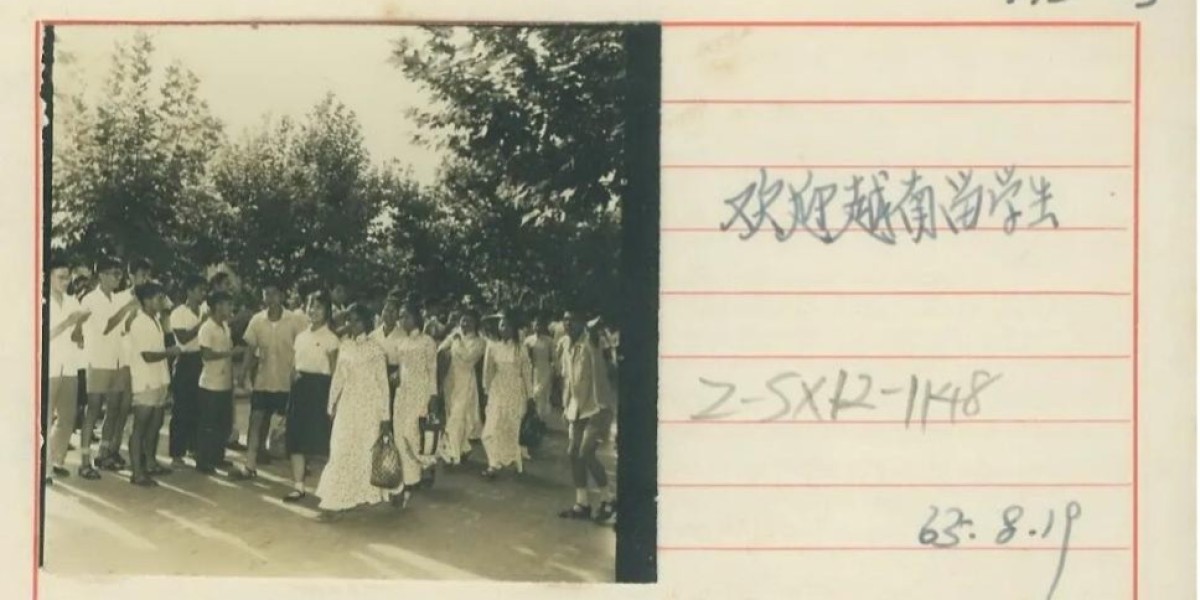 Article Picture
