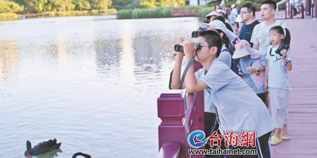 Article Picture
